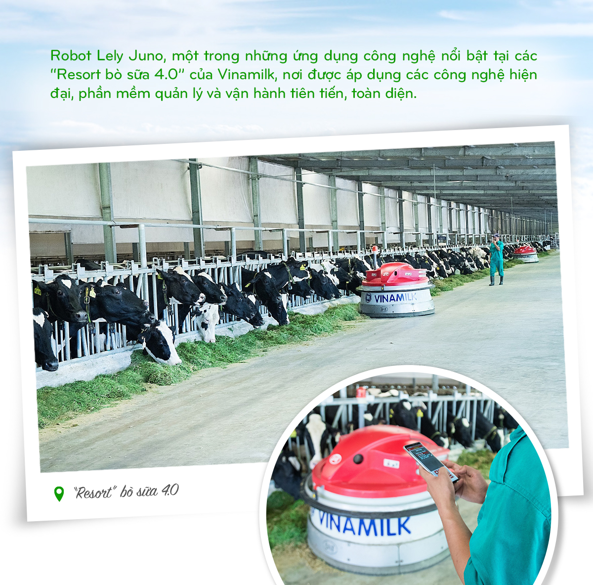 Vinamilk: 15 năm xây hệ thống trang trại bò sữa với “bộ sưu tập” tiêu chuẩn quốc tế - Ảnh 7
